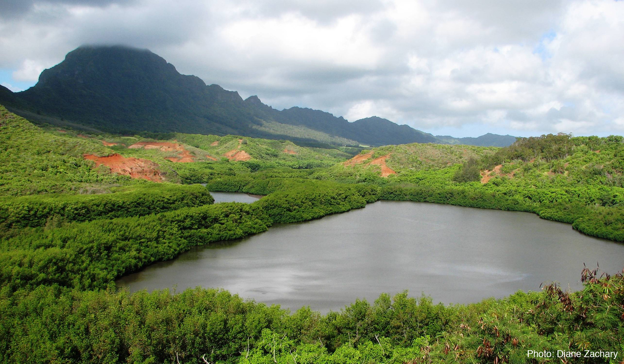 Alekoko Fishpond